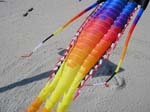 Berck_2009 (15)