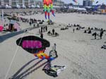 Berck_2009 (16)