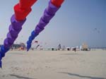 Berck_2009 (20)
