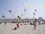 Berck_2009 (22)