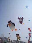 Berck_2009 (23)