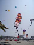 Berck_2009 (25)