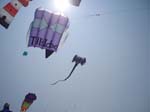 Berck_2009 (26)