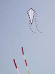 Berck_2009 (29)