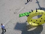 Berck_2009 (4)