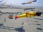 Berck_2009 (5)