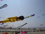 Berck_2009(2)