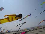 Berck_2009(3)
