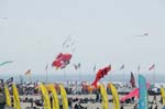 Berck_2009_04_26_09