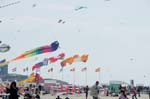 Berck_2009_04_26_14