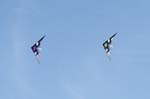 Berck_2009_04_26_33