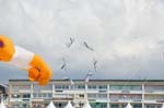 Berck_2009_04_26_38