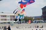Berck_2009_04_26_40