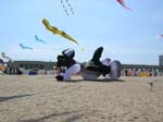 Oostende2009_89