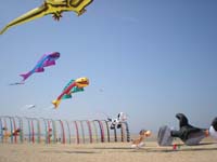 Houlgate_2010-13