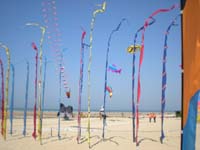 Houlgate_2010-19
