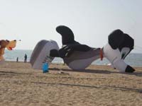 Houlgate_2010-22