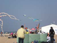 Houlgate_2010-23