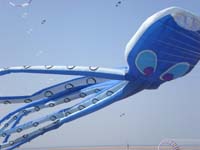 Houlgate_2010-28
