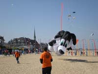Houlgate_2010-3