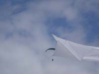 Houlgate_2010-41