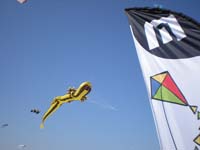 Houlgate_2010-6