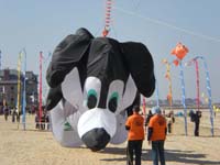 Houlgate_2010-7